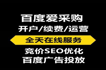 某品牌sem竞价托管代运营的精彩瞬间
